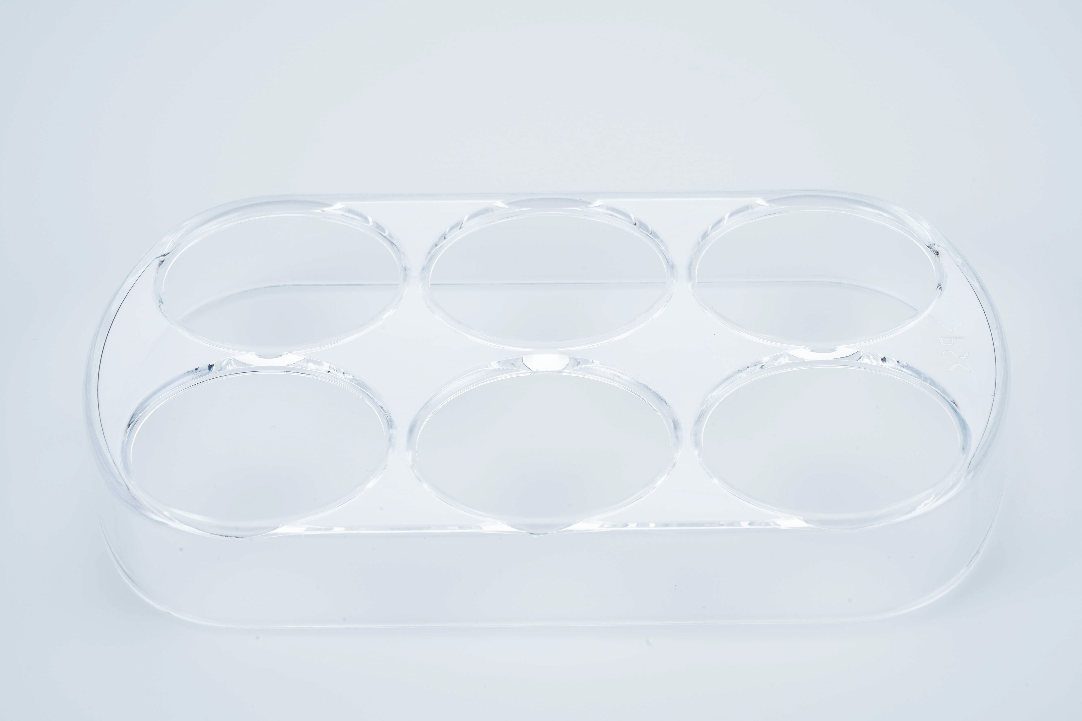 Indesit bac a oeufs (6) (152x95x20) scholtes c00090981 pour refrigerateur ca55nfuk