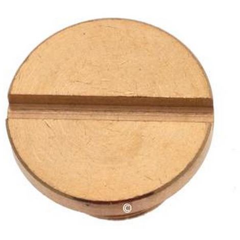 Astoria bouchon de vidange 500582773 pour centrale vapeur - fer à repasser astoria ri710a