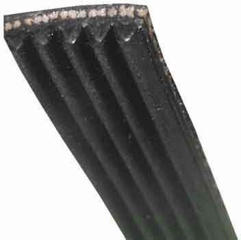 Laden courroie générique élastique 481281718147 pour lave-linge laden ev9090 858490929006