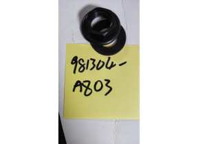 Kit de fixation 981304-az03 981304-az03 pour racine 434981304AZ03