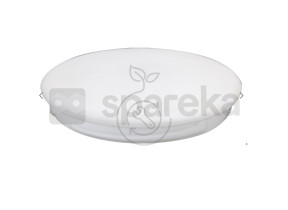 1 verre blanc pour breva sp nt56301 169SPNT56301