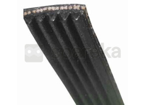  50097734003