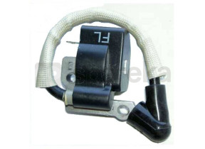 Bobine d\'allumage 17061029