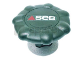 Bouton de serrage 980004
