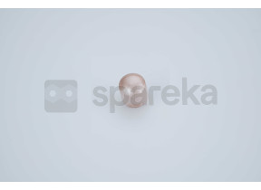 Bouton rose CS00115821