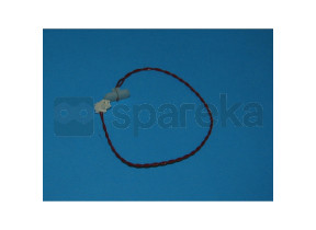 Capteur de température 250mm 2p 288848