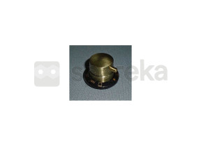 Commutator + thermostat bouton principale oven 250315625