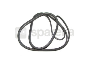 Courroie élastique C00065333