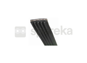 Courroie pv1161j5 481281718163