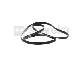 Courroie pv1920h8el 481281718177