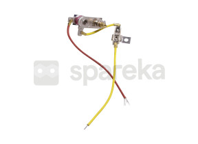 Ensemble de thermostat + fusible 500587299