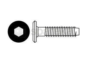 Fileté vis 25 mm / vis filete 25 mm 208HARDAI