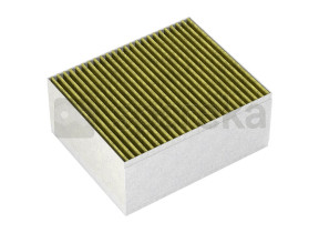 Filtre à charbon cleanair plus 17004083