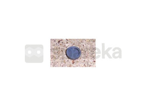 Handle screw coverral 7037 4049961000