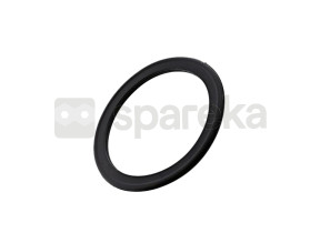 Joint de bouchon pompe 1260616014