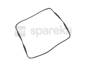 Joint de porte 455920016