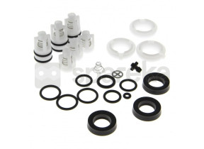 Kit vannes + joints 3081290