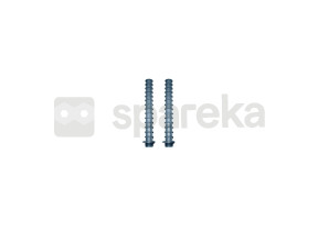 Lot de 2 crépines filtre à sable millenium l.225 d.26 mm 4404300712