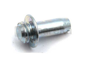 Pivot charniere 19mm C00293114