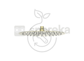 Pomme de douche icone laiton p42176-bb 399P42176BB