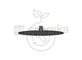 Pomme de douche icone noir p42176-mb 399P42176MB