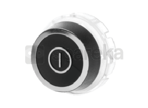 Régulateur 10013879