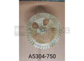 Roue de soufflerie a5304-750 450A5304750