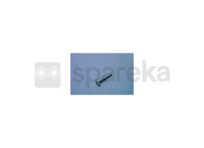 Screw (pt-4x20) 9002850710