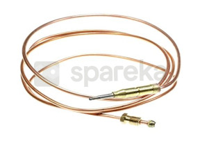 Thermocouple + grille C00307855
