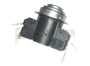 Thermostat 00029024