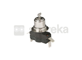 Thermostat 00031032