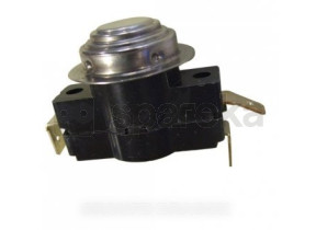 Thermostat 00032604