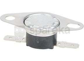 Thermostat 00491738