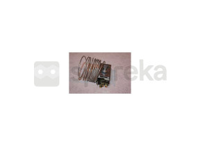 Thermostat 077b5254 206397974