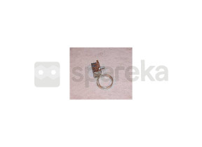 Thermostat 077b6667 46X4016