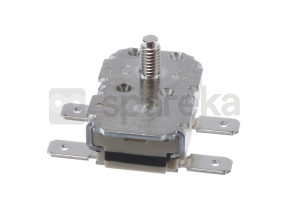 Thermostat 10001886