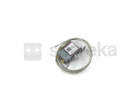 Thermostat 17431000001365