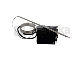 Thermostat 44002540