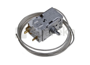 Thermostat 480131100484