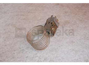 Thermostat 481227128562