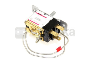 Thermostat 482000001308