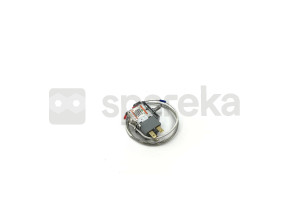 Thermostat 49118246