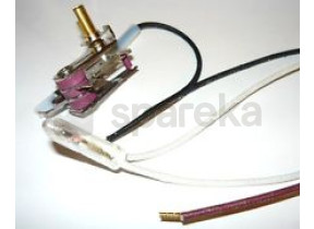 Thermostat 500584375