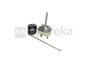 Thermostat 818730269