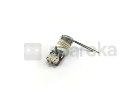 Thermostat 818730335