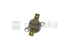 Thermostat 818731309