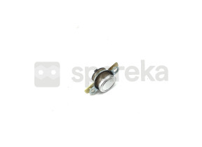 Thermostat 818731663