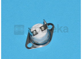 Thermostat 829740