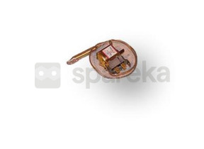 Thermostat AS0004036
