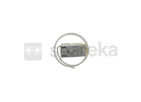 Thermostat AS0038704